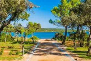 Chemins de Losinj