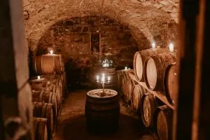 Wine tour goriska brda vipava istra kras